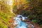 Beautiful Wimbachklamm gorge with wooden path in autumn colors, Ramsau bei Berchtesgaden