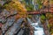 Beautiful Wimbachklamm gorge with wooden path in autumn colors, Ramsau bei Berchtesgaden