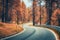 Beautiful winding mountain road in autumn forest at sunset