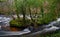 Beautiful winding river, capturing autumnal colours at Fingle bridge in Dartmoor national park.