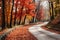 A beautiful winding road is surrounded by autumn maple trees on both sides