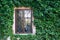 Beautiful window in a wall overgrown by green ivy