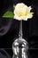 Beautiful wineglass with white rose