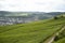 Beautiful wineries in the summer season of western Germany, visible road between rows of grapes.