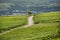 Beautiful wineries in the summer season of western Germany, visible road between rows of grapes.