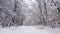 Beautiful winter alpine landscape on the dark and moody morning