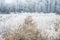 Beautiful winter background, forest and field frozen under the f