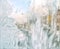 Beautiful winter background - frosty windowpane pattern