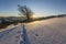 Beautiful winter Christmas landscape. Human footprint track path