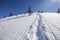 Beautiful winter Christmas landscape. Steep mountain hill slope with path and ski tracks in crystal white deep snow and growing