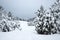 Beautiful winter forest. January, Estonia, Saaremaa