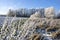 Beautiful winter hoarfrost rime landscape