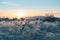 Beautiful winter in Iceland. Landscape covered under a fresh snow during the golden hour of sunset light. A breathtaking nature