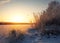 Beautiful winter landscape. The branches of the trees are covered with hoarfrost. Foggy morning sunrise. Colorful evening