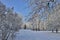 Beautiful winter landscape in the city park hoarfrost covered