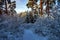 beautiful winter landscape with forest, trees and sunrise. winterly morning of a new day. Christmas landscape with snow