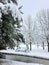 Beautiful winter landscape with garden swings covered with the first fluffy snow on the freezing pond