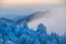 Beautiful winter landscape. Morning fog covers the top of the snowy mountain. Powdered trees hide behind the morning winter fog