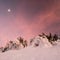 Beautiful winter landscape in mountains on sunny, bright day, with trees covered with huge amount of snow with amazing shapes