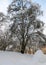 Beautiful winter landscape with a river, snow-covered trees, a sandstone cliff by the river