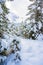 Beautiful winter landscape scenery in Tirol, Reutte, Austria