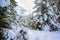 Beautiful winter landscape scenery in Tirol, Reutte, Austria