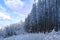 beautiful winter landscape, snow-covered branches of fir trees, heavy snowfall, swept road, walks in white forest, Capturing