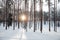 beautiful winter landscape snow-covered forest nature journey