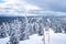 Beautiful winter landscape with snow covered trees in Krkonose. Panorama of snowy landscape in mountains.