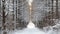 Beautiful winter landscape snow-covered walkway in the woods.