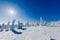 Beautiful winter landscape with snowy trees in Lapland, Finland. Frozen forest in winter.