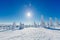 Beautiful winter landscape with snowy trees in Lapland, Finland. Frozen forest in winter.