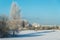 Beautiful winter landscape. Trees covered with frost, one alone house in forest.  Real Lithuanian Europe nature cold weather