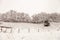 Beautiful winter landscape, trees covered with snow