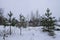 Beautiful winter landscape with trees in snow