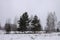 Beautiful winter landscape with trees in snow