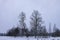 Beautiful winter landscape with trees in snow