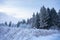 Beautiful winter landscape. Trees stand in the snow