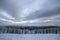 Beautiful winter mountain landscape. Tall dark green spruce trees covered with snow on mountain peaks and cloudy sky background