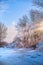 Beautiful winter nature view; winter landscape On A Hoar Frost