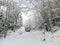 Beautiful winter in the Norwegian forest.