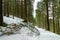 Beautiful winter scence in forest. Pine trees covered with snow. Mount Pilatus, Luzern, Switzerland.