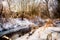 Beautiful winter scene with creek