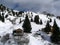 Beautiful Winter Scene at the San Pellegrino pass in the Dolomites in the Val di Fiemme, Trento