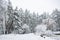 Beautiful winter snowy alley in city park. Trees covered with fresh snow