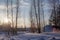 Beautiful winter sunset with trees in the snow. twilight winter sunset in the forest
