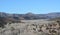 Beautiful winter view of the Cottonwood Trees and valley at Carrizo in the Salt River Canyon, Gila County, Apache Indian Reservati