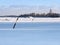 Beautiful winter view of Finnish archipelago with buoys standing in the frozen sea