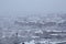 Beautiful winter view of houses and buildings with roofs covered with heavy snow. In snowy season, roof with lot snow.