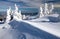 Beautiful wintry view of snowy wood on mountains